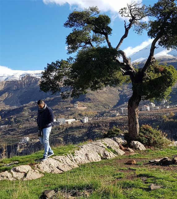 Even in winter it shallbe green in my... (Bcharreh, Liban-Nord, Lebanon)