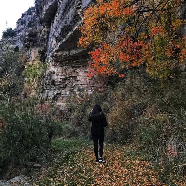 Falling for fall 🍁🍂📷 @faridmoubarak (Jord el Aaqoûra)