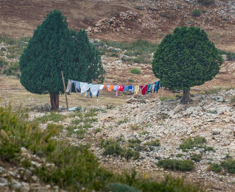 Fancy washing line!  lebanon ... (As Sawaqi, Liban-Nord, Lebanon)