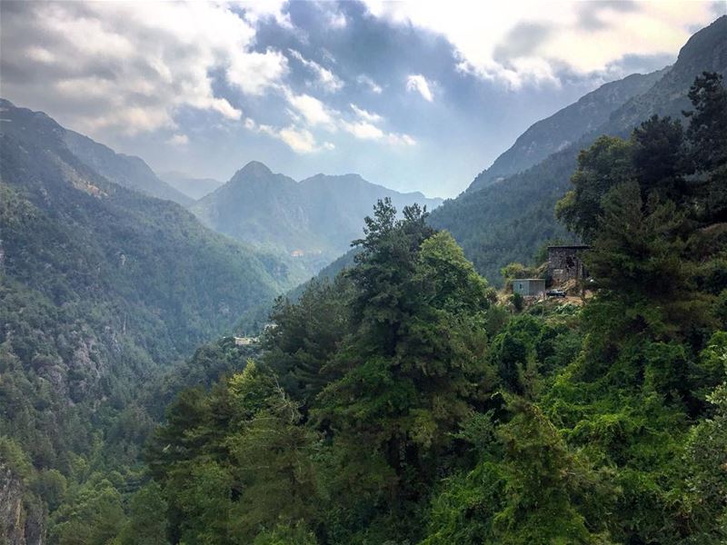 Far away✌🏻️ (Yahshush, Mont-Liban, Lebanon)