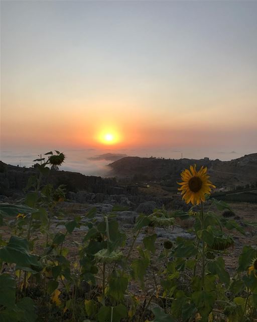 FARAYA 🌄  mountains  faraya  sunset  nature  lebanon ⛅️🌻🌤 (Faraya, Mont-Liban, Lebanon)