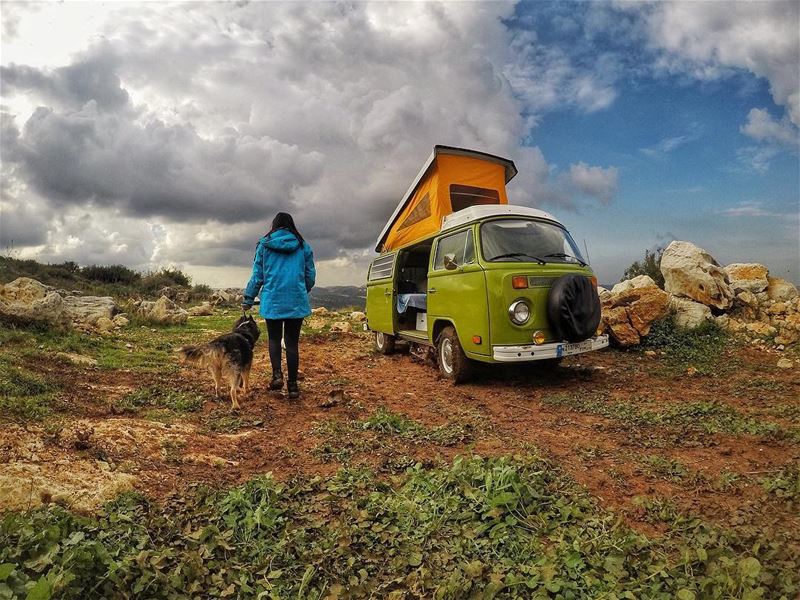 Favorite camping companion 🐶 @huskysee_huskydo (El Mejdel, Mont-Liban, Lebanon)