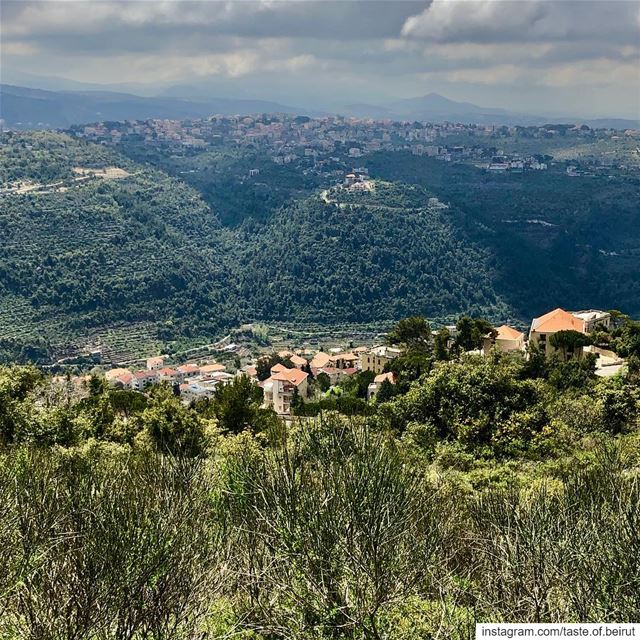 Feasting on natural beauty.  livelovechouf ... (Chouf)