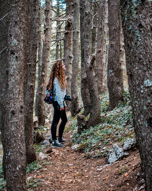 Feeling the woods ;cred📷 @jubranelias... naturephotography ...