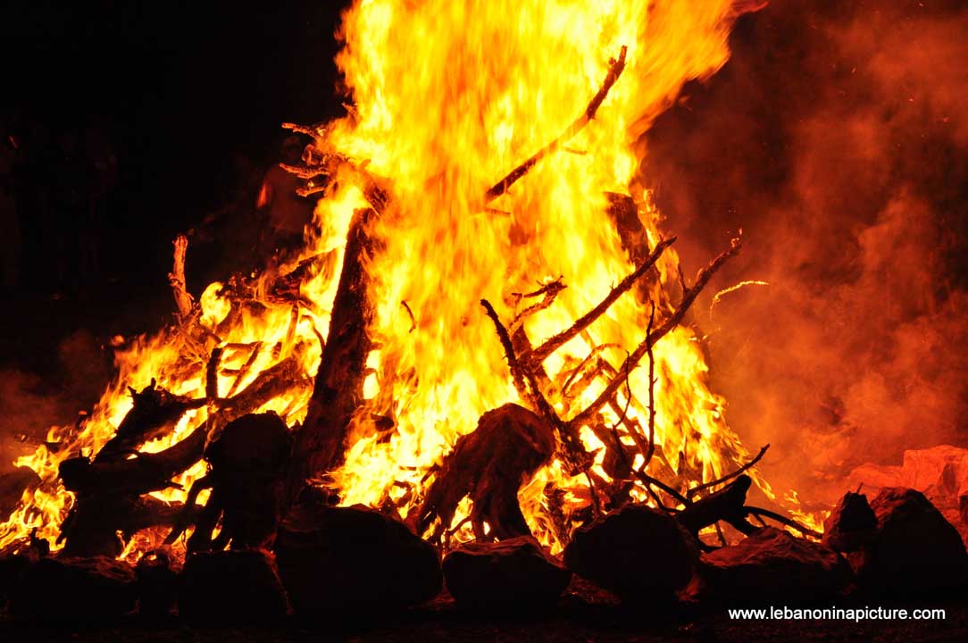 Fire bush - Laqlouq Cedars Army Marathon 2012