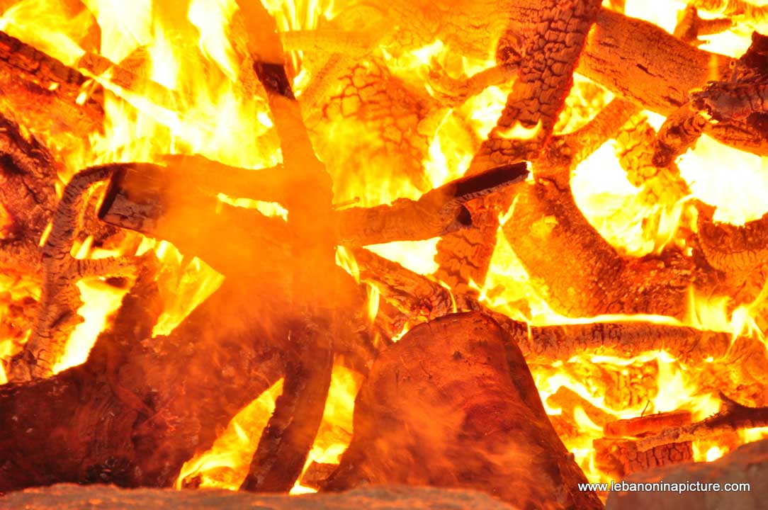 Fire bush - Laqlouq Cedars Army Marathon 2012