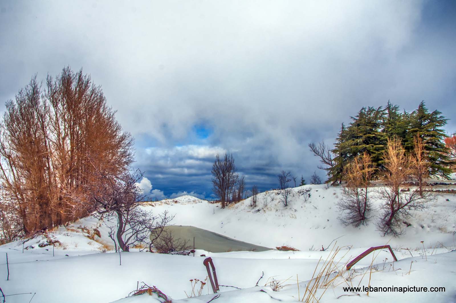 First Snow Landscape (Laklouk, Lebanon)