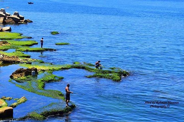 Fishing in  Beirut 🌊 | Join me on Facebook for more pictures ╰▶ Abed El... (Ain El Mreisse, Beyrouth, Lebanon)