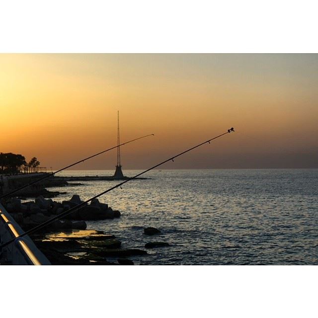  fishing  sunset  lebanon  beirut  city  lebanon_ig  proudlylebanese ...