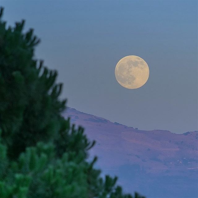 Fly me to the moon🚀 (Broummâna, Mont-Liban, Lebanon)