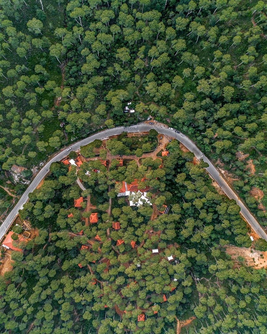 Flying over Bkassine forest 🌳...  lebanon  jezzine  bkassine  dji ... (Bkâssîne, Al Janub, Lebanon)