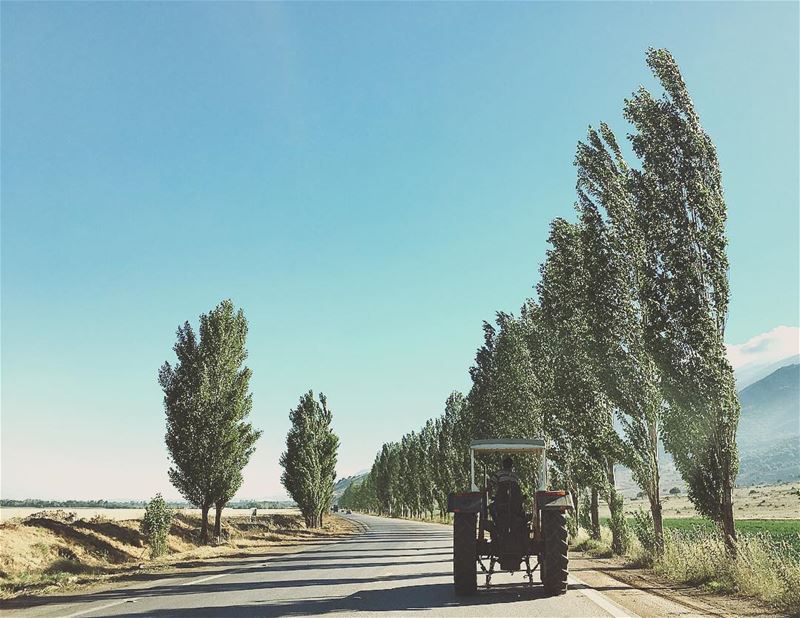 Follow the 🚜 bekaa  tractor  valley  road  outdoor  nature  shadow ... (West Bekaa)