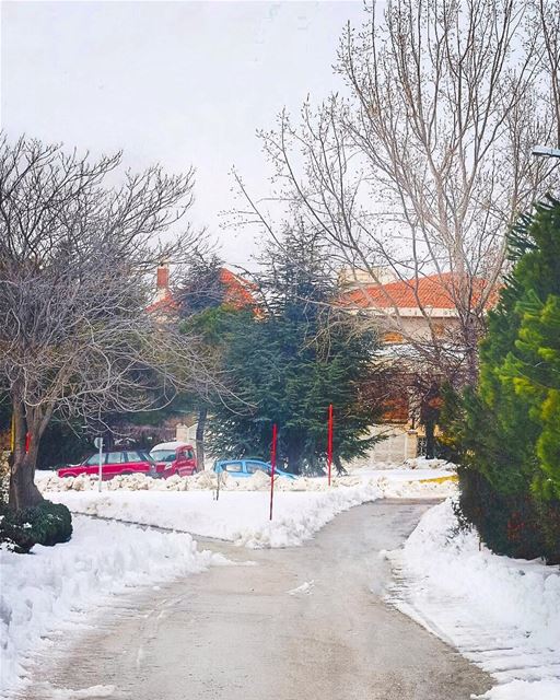 Follow your dreams. They know the way - Kobi Yamada ... (Ehden, Lebanon)