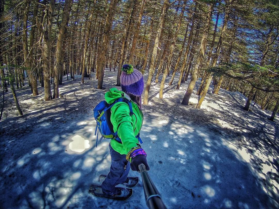 For a minute there, i  lost myself 🌲 cedars  natureloversgallery ... (Barouk Cedar Forest)