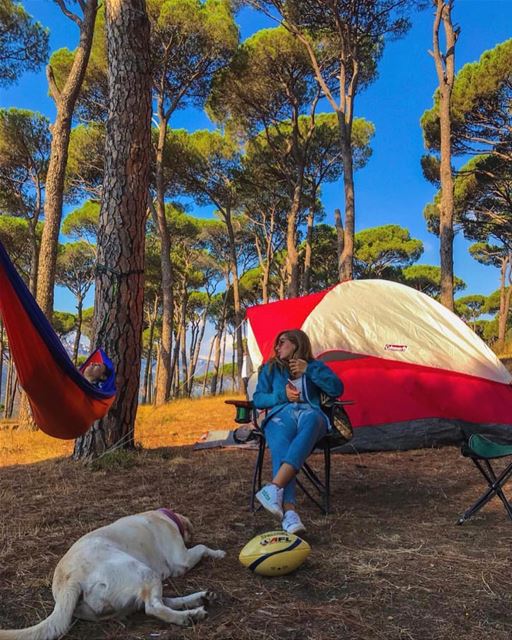 For a minute there, I lost myself 🌳⛺️ (Ra'S Al Matn, Mont-Liban, Lebanon)