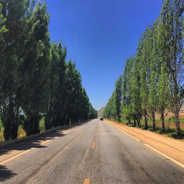 Free your mind & enjoy the ride 🚗💨  PeterWenMaken ... (`Ammiq, Béqaa, Lebanon)