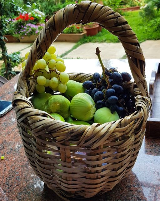 Fresh fruits from the garden. zahle lebanon garden fruits summer figs... (Zahlé, Lebanon)