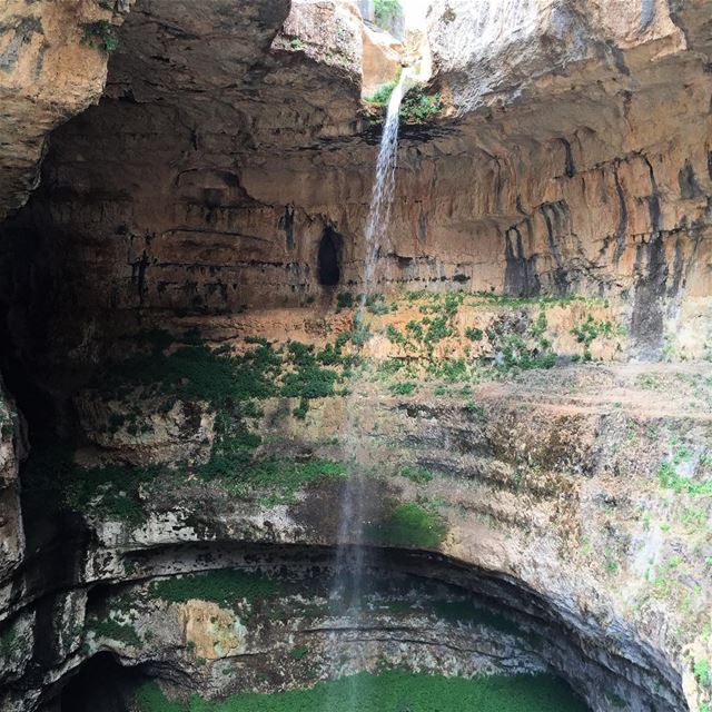 Fresh start 🏞 Good morning people☀️ (Tannourine - Balou' Balaa)