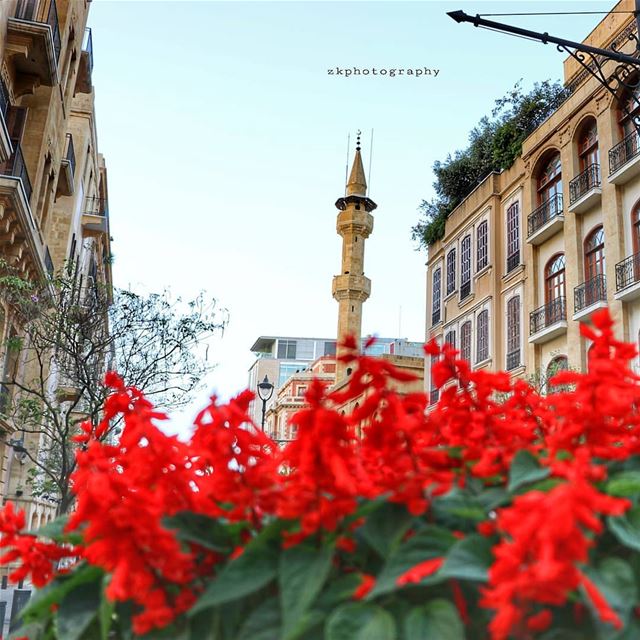 Friday 🇱🇧 * insta_lebanon  ig_lebanon  lebanon_pictures  loves_lebanon... (Downtown Beirut)