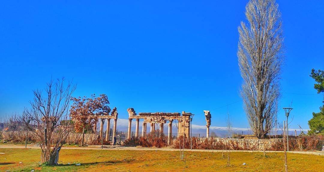 From Baalbek with love ❤....... livelovebaalbeck  livelovelebanon ... (Baalbek, Lebanon)