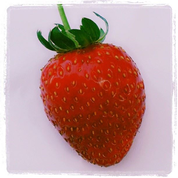  fruits strawberry red my garden fresh delicious tasty Lebanon...