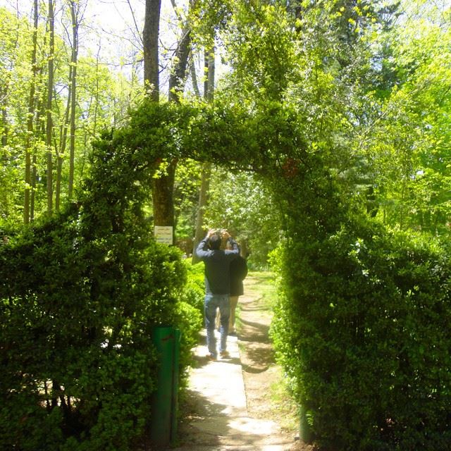 garden orchard trees beautifulnature reservediscoverlebanon