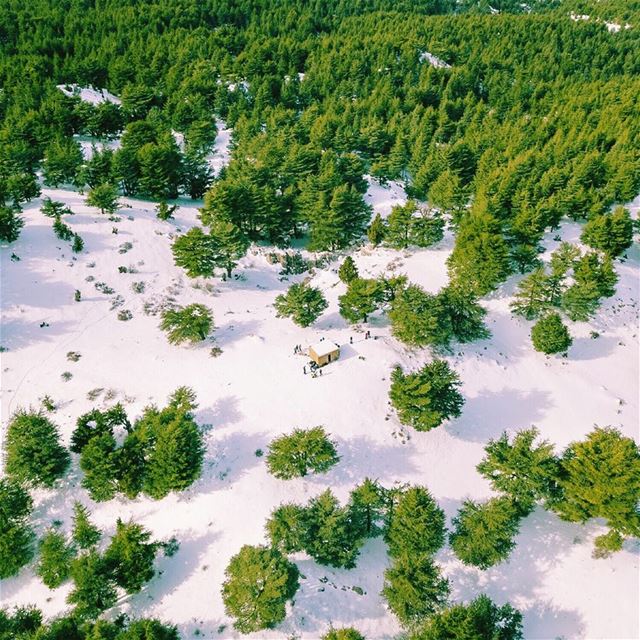 Gathering in the middle of nowhere ⛷🏕 (Lebanon)