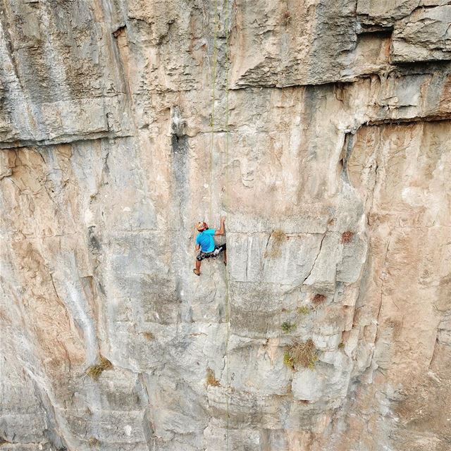 @georgebouassi joined us for some fun Climbing, do you think he had loads...