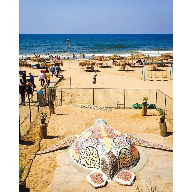 Giant sea turtle welcoming the bathers at Ramlet-el-Baida 💦. Sabah el Nour Beirut☀️☕️🇱🇧! (Ramlet Al Bayda Public Beach)