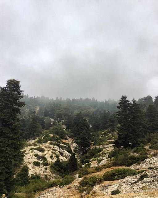 Gloomy morning ☁️  morning  view @liveloveakkar  peterwenmaken ⚡️ (`Akkar, Liban-Nord, Lebanon)