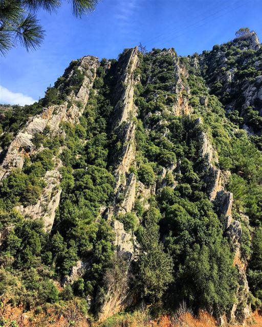 God's Art 🏞 (Hamatoura Monastery)