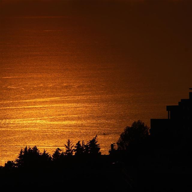  golden  reflection  sunrays  sunset  lebanon  sea  nofilter ...