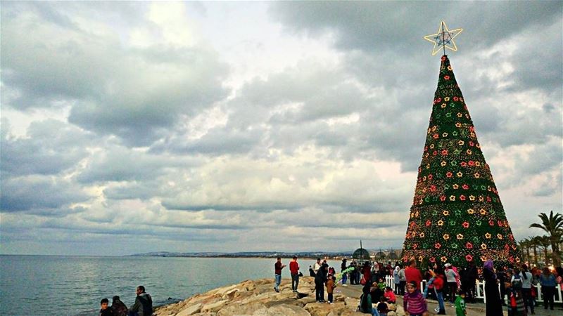 Good evening dear followers with this amazing view 🌲Photo taken by @plac (Tyre, Lebanon)