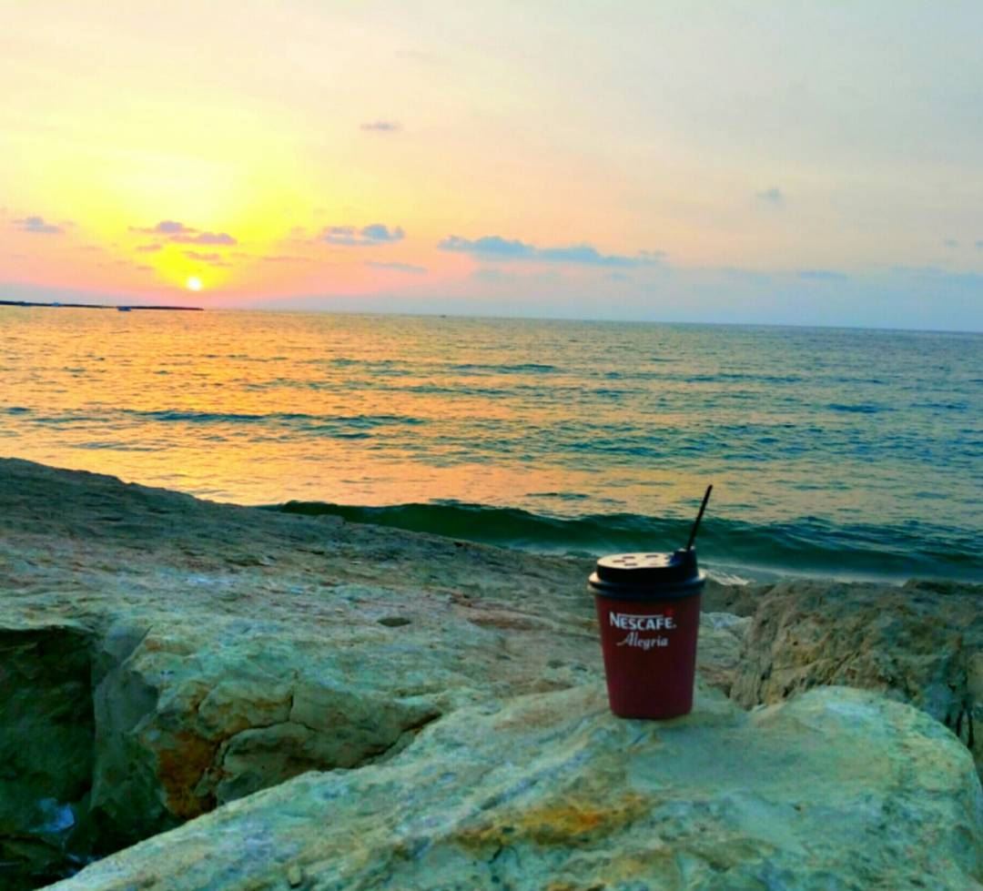 Good evening dear followers with this amazing viewPhoto taken by group... (Korniche SAIDA)