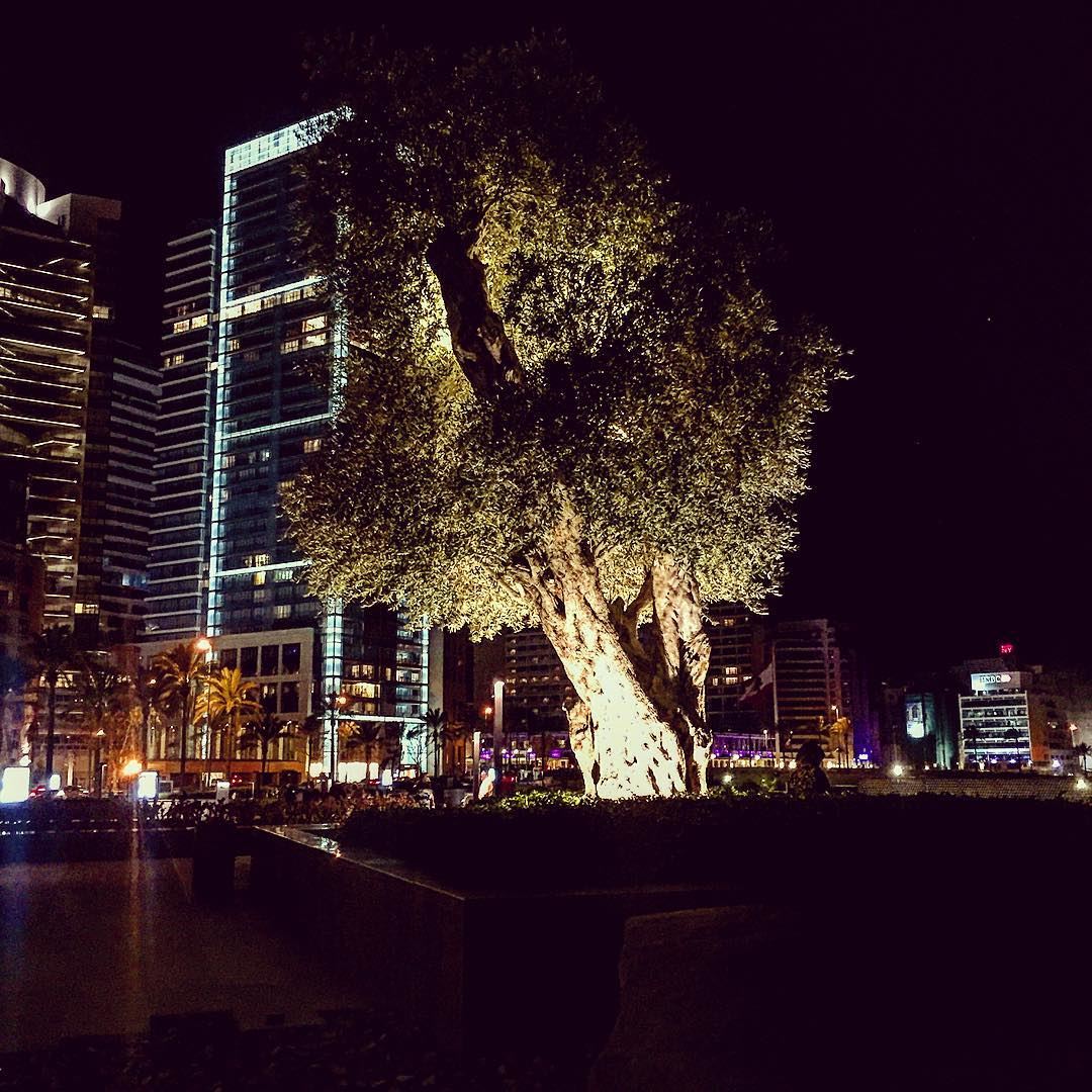 Good evening ....😎 livelovebeirut  wearelebanon  lebanon livelovelebanon... (Zaituna Bay and Yacht Club)