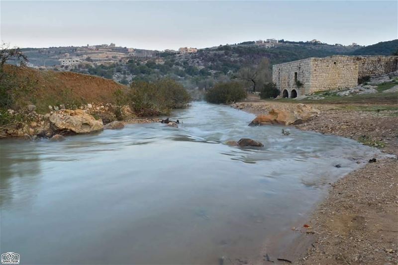 Good evening my friends ☺ river  naturelebanon  lebanonature  nature ...