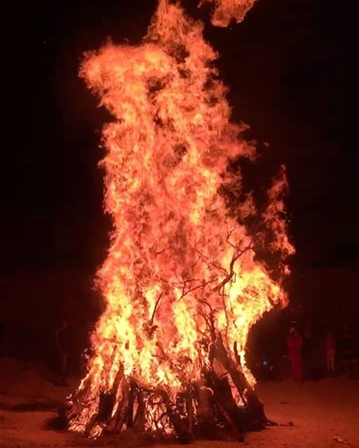 Good Friends , bag of marshmallow , clear sky and a Campfire what a great... (Faraya, Mont-Liban, Lebanon)