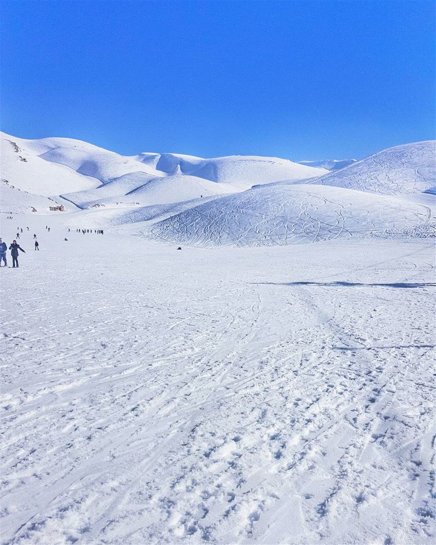 GOOD MORNING ❄❄___________________________________________... (Wardeh Kfardebian)