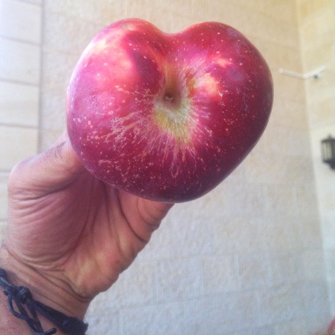 Good morning!  apple  heart  goodmorning  lebanon  igers  photooftheday ...