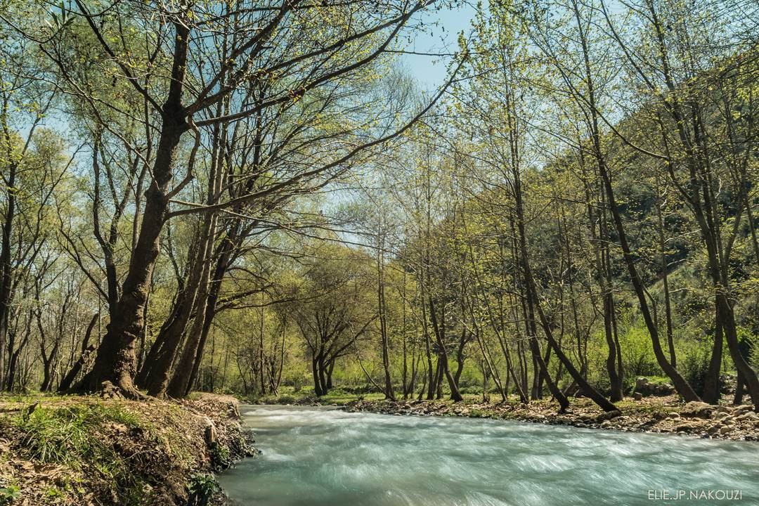 Good morning .... be kind to yourself today 😊 ... nikon  photography ... (Btormâz, Liban-Nord, Lebanon)