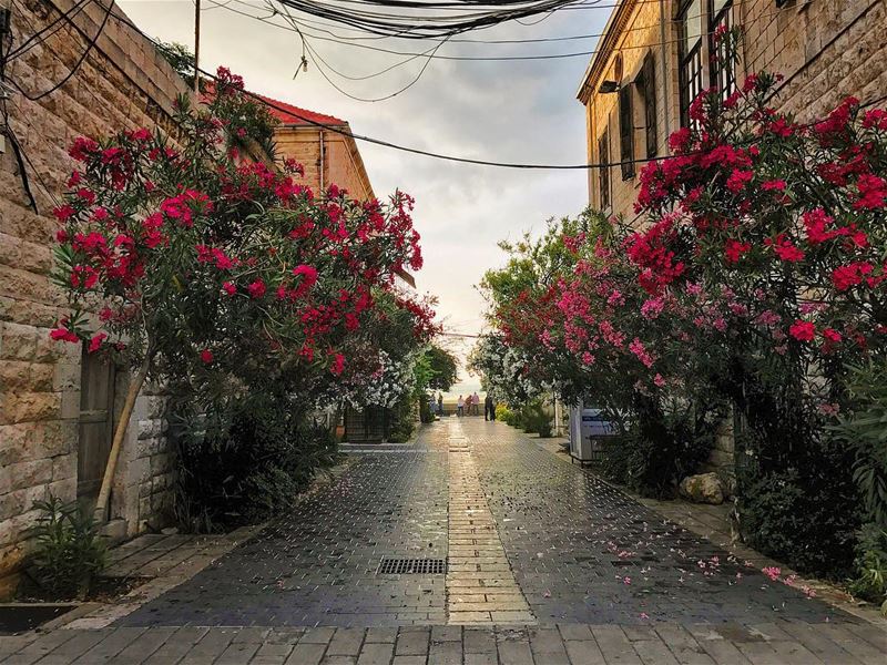 Good morning dear followers from Jounieh🌺☀️  itsfriday• beiruting ... (Joünié)