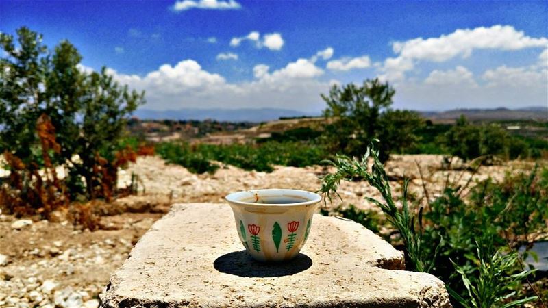Good morning dear followers with this amazing view ☕Photo taken by @place (Ghassâniye, Al Janub, Lebanon)