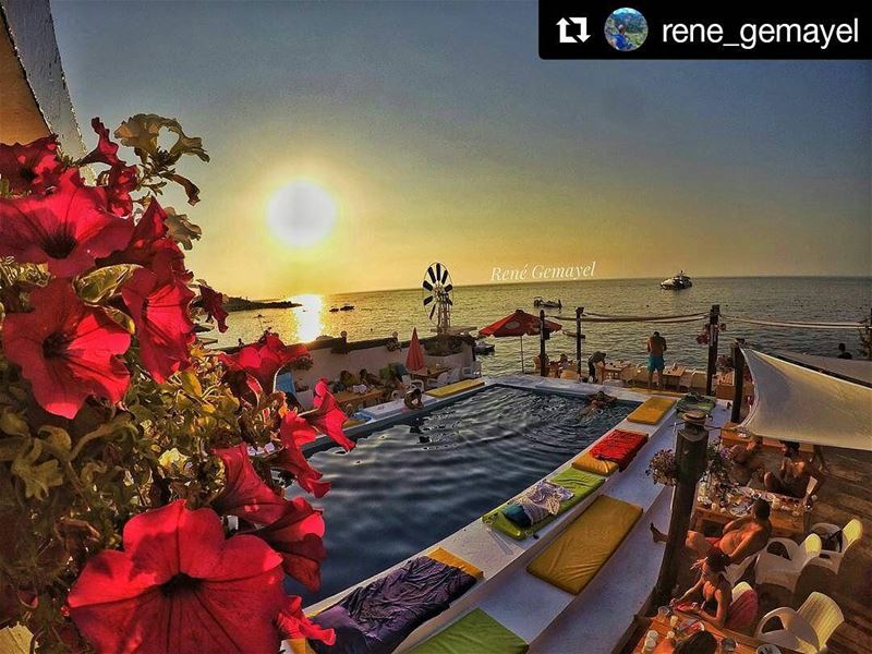 Good Morning Everyone Enjoy Your Sunday @tahetelrih Repost @rene_gemayel...