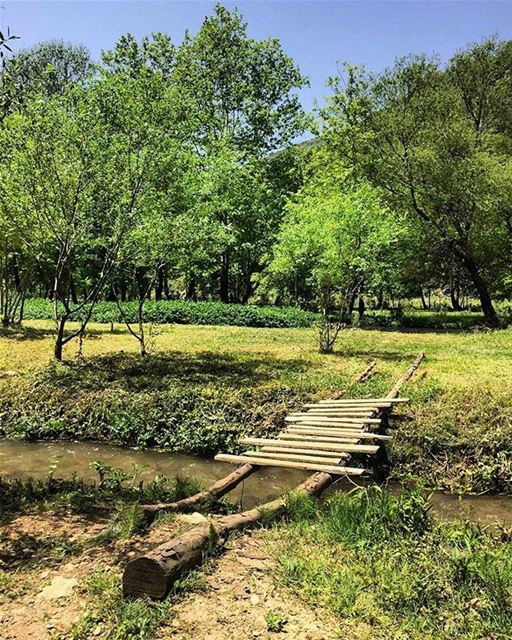 Good Morning from Akkar صباح الخير من عكار - شمال لبنانPhoto taken by @mo (`Akkar, Liban-Nord, Lebanon)