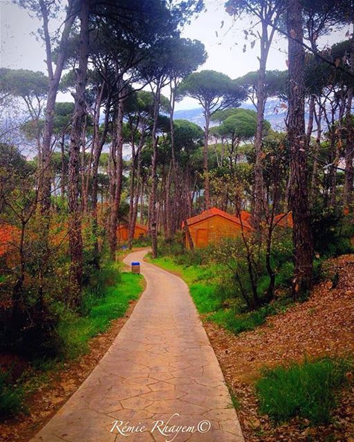 Good Morning from Bkassine صباح الخير من بكاسينPhoto taken by @rem_rh 😊... (Bkâssîne, Al Janub, Lebanon)