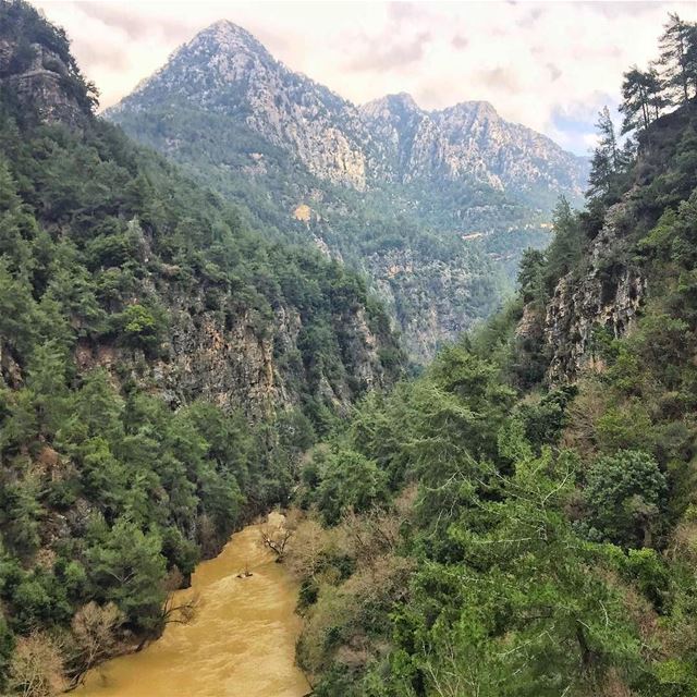 Good Morning from Chouwenصباح الخير من الشوان 😊Photo taken by @bigjooe � (Chouwen)