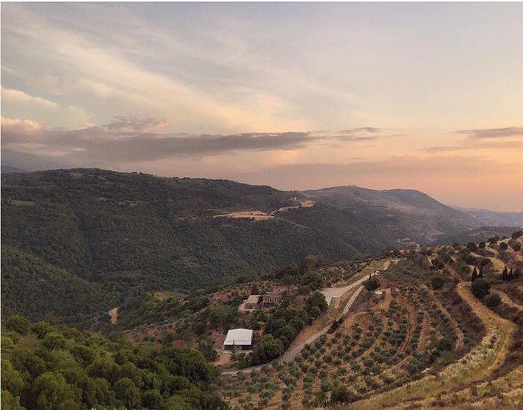 Good Morning from Deir Janine - Akkarصباح الخير من دير جنين - عكارPhoto... (دير جنّين عكّار لبنان)