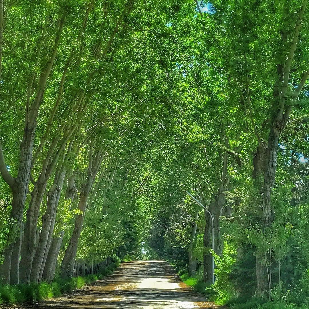 Good Morning from Laklouk villageصباح الخير من اللقلوق 😊Photo taken by @ (El Laklouk, Mont-Liban, Lebanon)