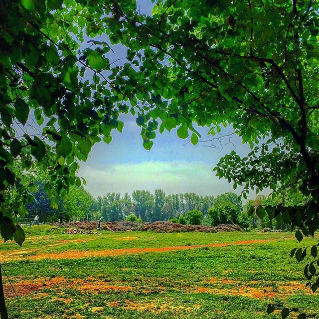 Good Morning from Taanayel Lakeصباح الخير من تعنايل - البقاعPhoto taken... (Deïr Taanâyel, Béqaa, Lebanon)