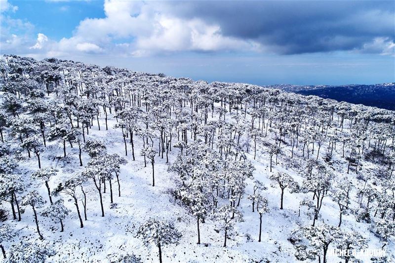 Good Morning igers ❄😎 AboveLebanon  Lebanon  LiveLoveBeirut  flybeirut ...